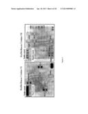 COMPOSITIONS AND METHODS OF TREATMENT WITH STEM CELLS diagram and image