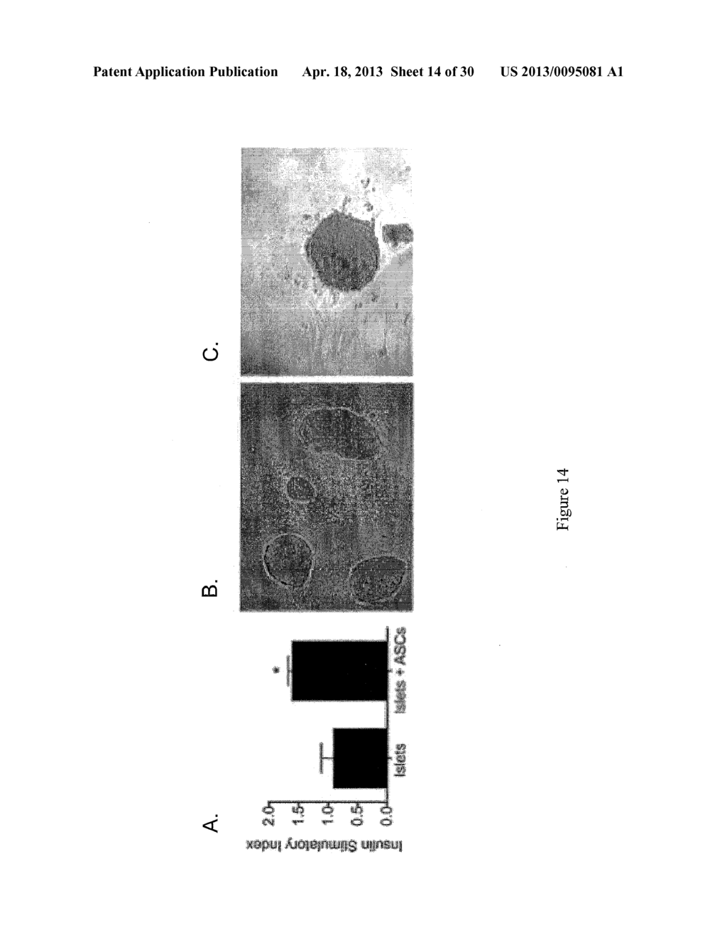COMPOSITIONS AND METHODS OF TREATMENT WITH STEM CELLS - diagram, schematic, and image 15
