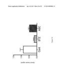 COMPOSITIONS AND METHODS OF TREATMENT WITH STEM CELLS diagram and image