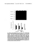 USE OF DES-ASPARTATE-ANGIOTENSIN I IN INFLAMMATION-RELATED PATHOLOGIES AND     DISEASES diagram and image