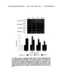 USE OF DES-ASPARTATE-ANGIOTENSIN I IN INFLAMMATION-RELATED PATHOLOGIES AND     DISEASES diagram and image