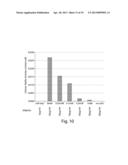 RECOMBINANT HUMAN NAGLU PROTEIN AND USES THEREOF diagram and image