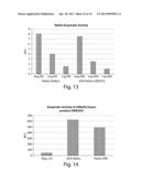 RECOMBINANT HUMAN NAGLU PROTEIN AND USES THEREOF diagram and image