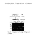 Vaccine and Therapeutic Delivery System diagram and image