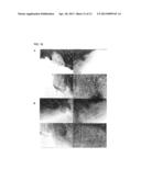 BIOMATERIAL FROM WHARTON S JELLY UMBILICAL CORD diagram and image