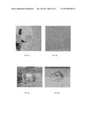 ANTI-GRAFFITI EMULSIONS WITH ANTI-HUMIDITY BARRIER CHARACTERISTIC diagram and image