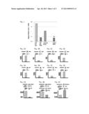 DESIGN OF STEM-LOOP PROBES AND UTILIZATION IN SNP GENOTYPING diagram and image