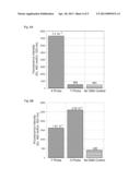 DESIGN OF STEM-LOOP PROBES AND UTILIZATION IN SNP GENOTYPING diagram and image