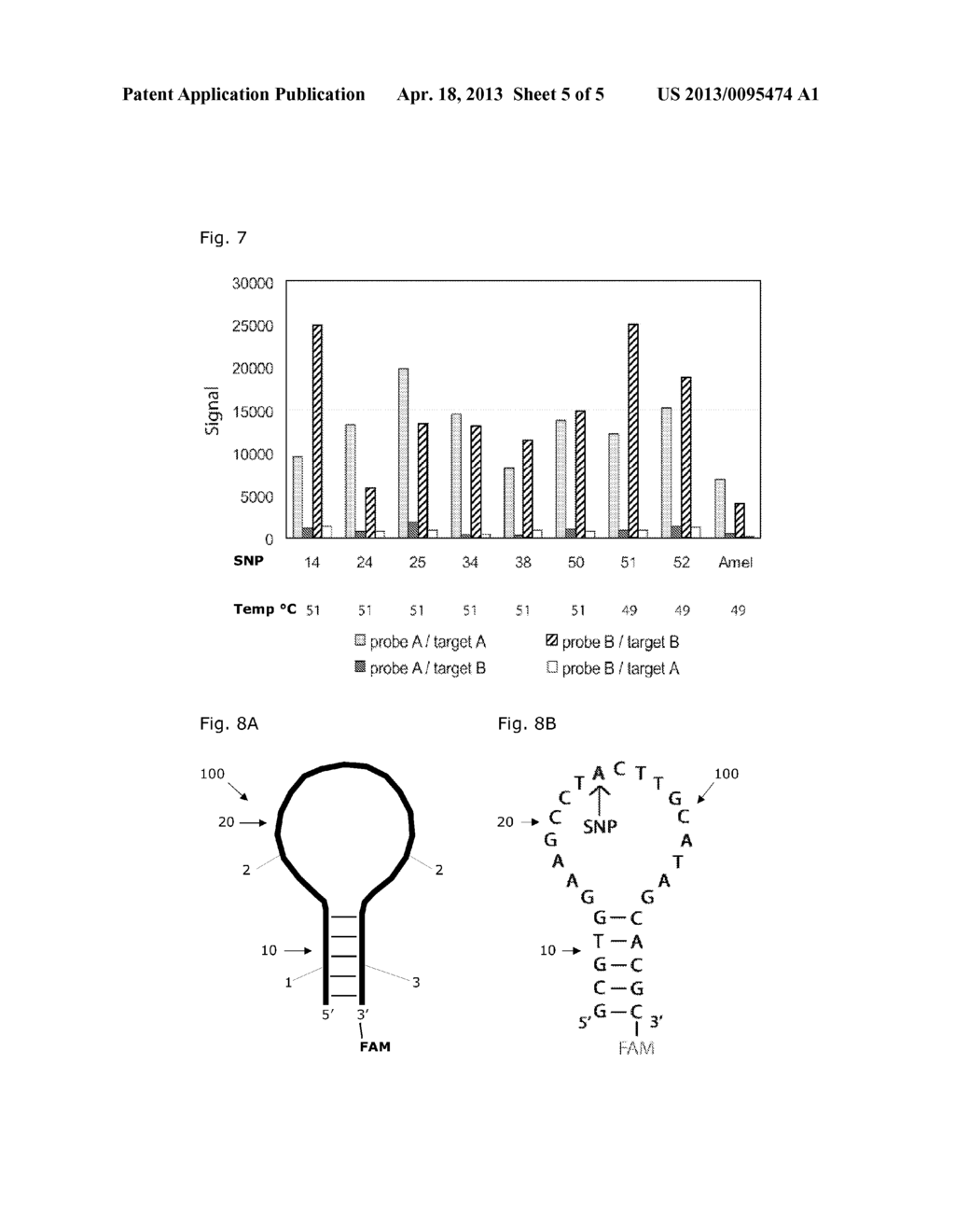 DESIGN OF STEM-LOOP PROBES AND UTILIZATION IN SNP GENOTYPING - diagram, schematic, and image 06