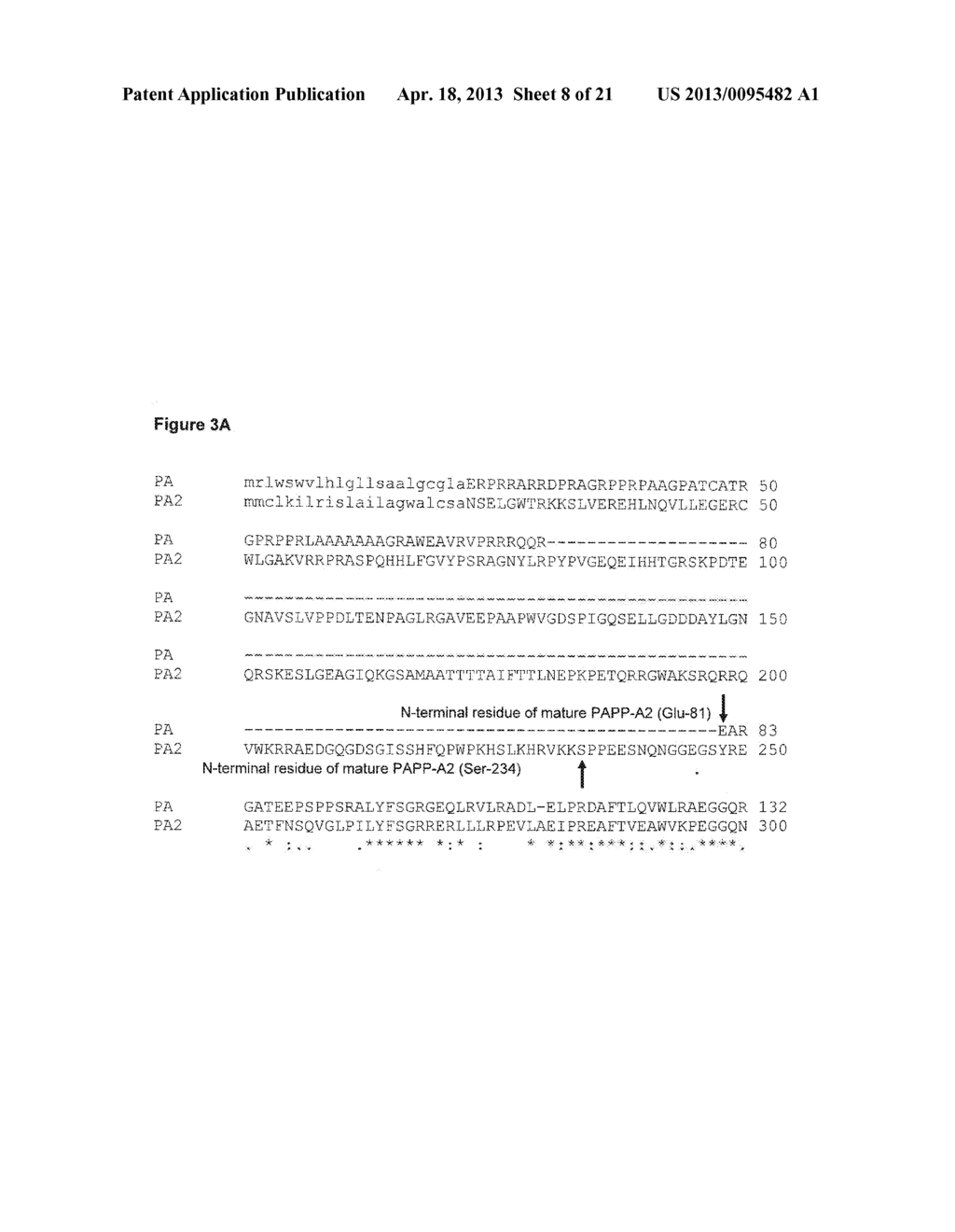 METHODS OF DETECTING PREGNANCY-ASSOCIATED PLASMA PROTEIN-A2 (PAPP-A2) - diagram, schematic, and image 09