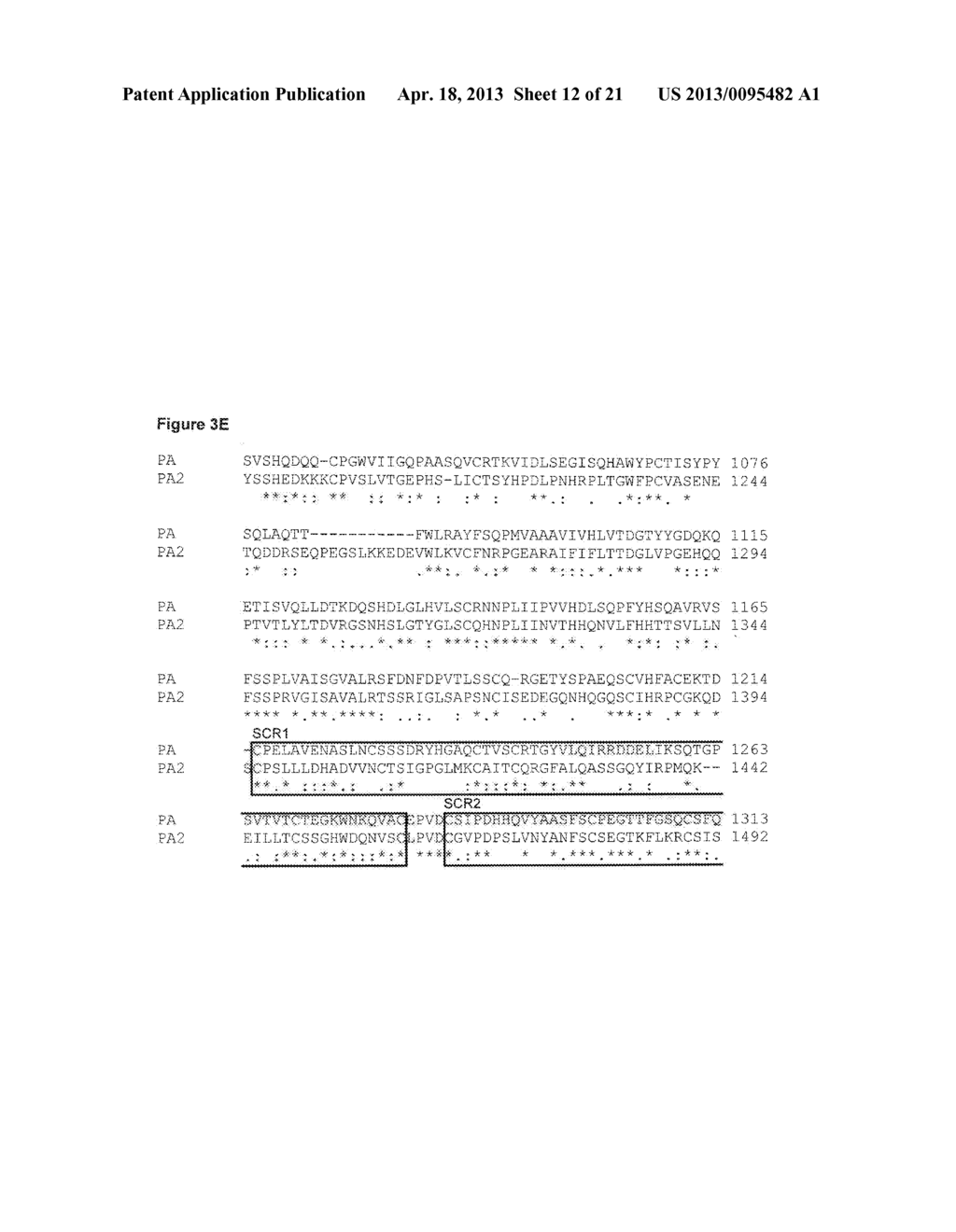 METHODS OF DETECTING PREGNANCY-ASSOCIATED PLASMA PROTEIN-A2 (PAPP-A2) - diagram, schematic, and image 13