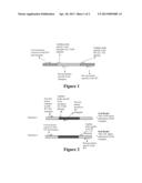 Materials and Methods for Detecting the Aryloxyalkanoate Dioxygenase Gene     (AAD-12) Containing Event pDAB4472-1606 in Plants diagram and image