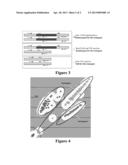 Materials and Methods for Detecting the Aryloxyalkanoate Dioxygenase Gene     (AAD-12) Containing Event pDAB4472-1606 in Plants diagram and image