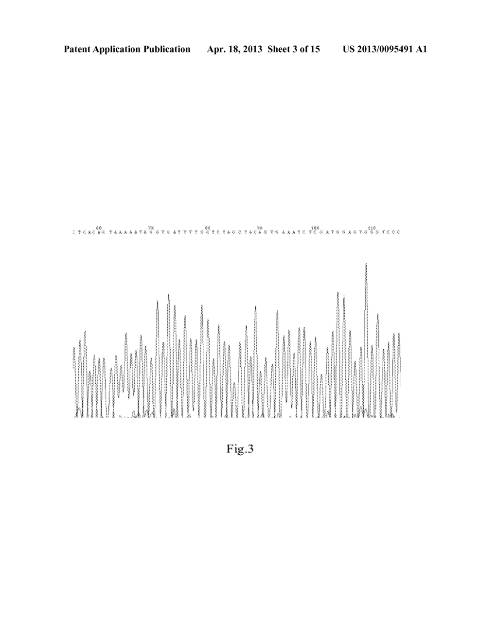 KIT FOR QUANTITATIVE DETECTION OF BRAF MUTATION - diagram, schematic, and image 04