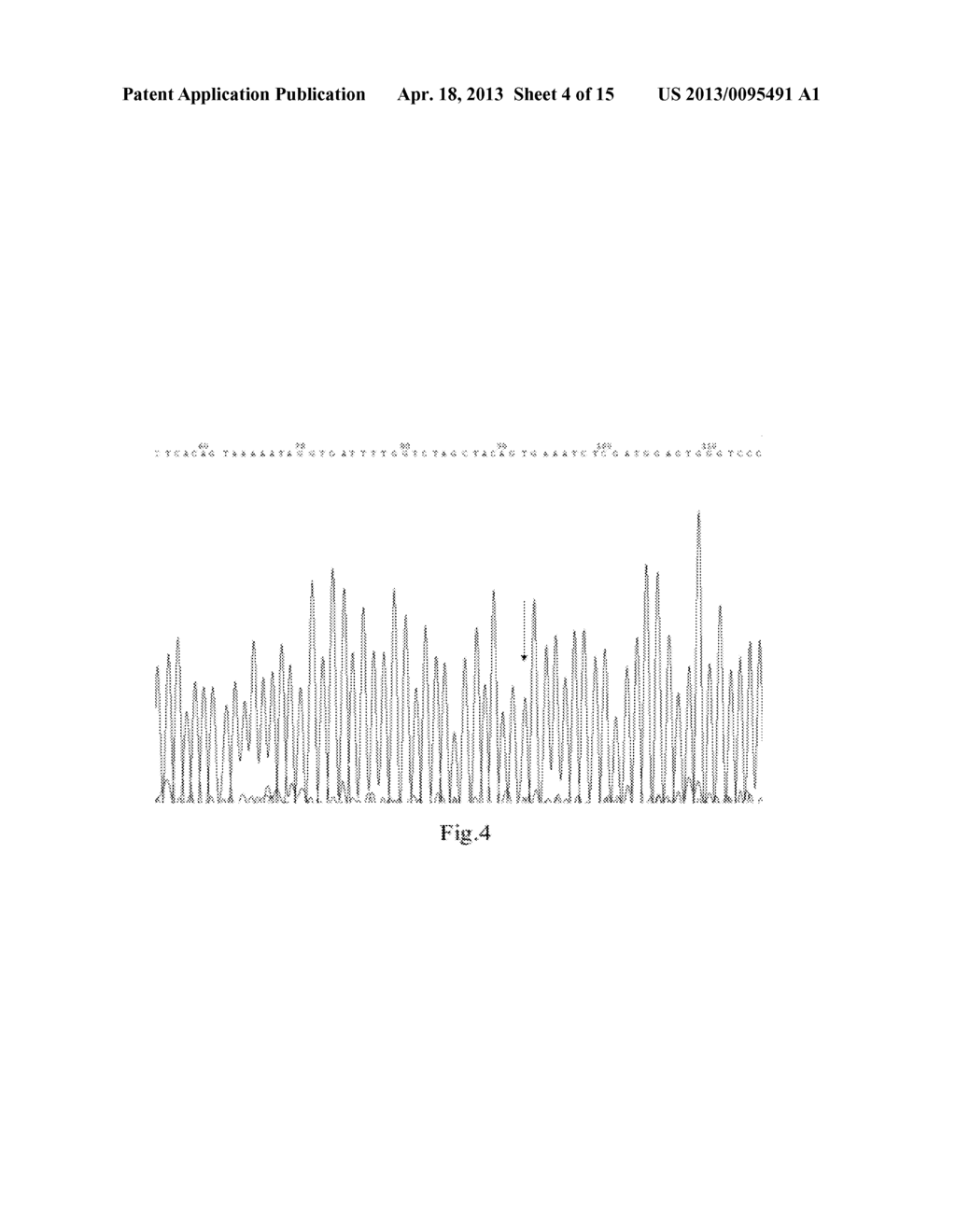 KIT FOR QUANTITATIVE DETECTION OF BRAF MUTATION - diagram, schematic, and image 05