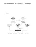 IDENTIFICATION OF THE GENE NOTCH3 AS A NOVEL BIOMARKER FOR HUMAN     METASTATIC MELANOMA diagram and image