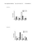 IDENTIFICATION OF THE GENE NOTCH3 AS A NOVEL BIOMARKER FOR HUMAN     METASTATIC MELANOMA diagram and image