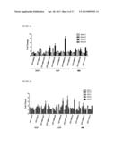 IDENTIFICATION OF THE GENE NOTCH3 AS A NOVEL BIOMARKER FOR HUMAN     METASTATIC MELANOMA diagram and image