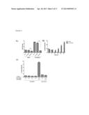 IDENTIFICATION OF THE GENE NOTCH3 AS A NOVEL BIOMARKER FOR HUMAN     METASTATIC MELANOMA diagram and image