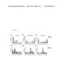 IDENTIFICATION OF THE GENE NOTCH3 AS A NOVEL BIOMARKER FOR HUMAN     METASTATIC MELANOMA diagram and image