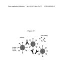 NMR SYSTEMS AND METHODS FOR THE RAPID DETECTION OF ANALYTES diagram and image