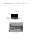 NMR SYSTEMS AND METHODS FOR THE RAPID DETECTION OF ANALYTES diagram and image