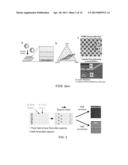 DEVICE FOR SORTING, CLASSIFYING, AND ASSAYING PARTITION BEHAVIOR OF CELL     MEMBRANE BIOMOLECULES AND METHODS BASED THEREON diagram and image