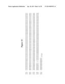 NOROVIRUS AND SAPOVIRUS ANTIGENS diagram and image