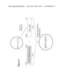 NOROVIRUS AND SAPOVIRUS ANTIGENS diagram and image