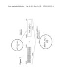 NOROVIRUS AND SAPOVIRUS ANTIGENS diagram and image