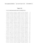 NOROVIRUS AND SAPOVIRUS ANTIGENS diagram and image