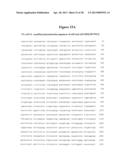 NOROVIRUS AND SAPOVIRUS ANTIGENS diagram and image