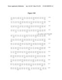 NOROVIRUS AND SAPOVIRUS ANTIGENS diagram and image