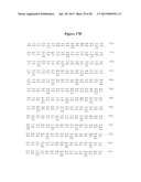 NOROVIRUS AND SAPOVIRUS ANTIGENS diagram and image