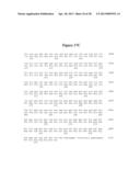 NOROVIRUS AND SAPOVIRUS ANTIGENS diagram and image