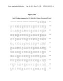 NOROVIRUS AND SAPOVIRUS ANTIGENS diagram and image