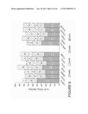 MODIFIED FAMILY 5 CELLULASES AND USES THEREOF diagram and image