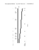 NOVEL VESICULAR STOMATITIS VIRUS AND VIRUS RESCUE SYSTEM diagram and image