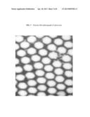 PROCESS FOR PRODUCING RECOMBINANT HUMAN ENDOSTATIN ADENOVIRUS diagram and image