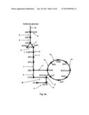 Flux Balance Analysis With Molecular Crowding diagram and image