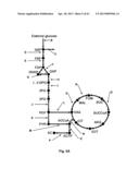 Flux Balance Analysis With Molecular Crowding diagram and image