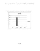 DIRECTED DIFFERENTIATION AND MATURATION OF PLURIPOTENT CELLS INTO     HEPATOCYTE LIKE CELLS BY MODULATION OF WNT-SIGNALLING PATHWAY diagram and image