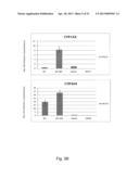 DIRECTED DIFFERENTIATION AND MATURATION OF PLURIPOTENT CELLS INTO     HEPATOCYTE LIKE CELLS BY MODULATION OF WNT-SIGNALLING PATHWAY diagram and image