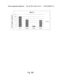 DIRECTED DIFFERENTIATION AND MATURATION OF PLURIPOTENT CELLS INTO     HEPATOCYTE LIKE CELLS BY MODULATION OF WNT-SIGNALLING PATHWAY diagram and image