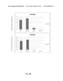 DIRECTED DIFFERENTIATION AND MATURATION OF PLURIPOTENT CELLS INTO     HEPATOCYTE LIKE CELLS BY MODULATION OF WNT-SIGNALLING PATHWAY diagram and image