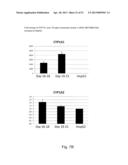 DIRECTED DIFFERENTIATION AND MATURATION OF PLURIPOTENT CELLS INTO     HEPATOCYTE LIKE CELLS BY MODULATION OF WNT-SIGNALLING PATHWAY diagram and image