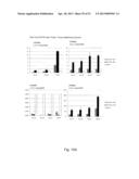 DIRECTED DIFFERENTIATION AND MATURATION OF PLURIPOTENT CELLS INTO     HEPATOCYTE LIKE CELLS BY MODULATION OF WNT-SIGNALLING PATHWAY diagram and image