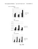 DIRECTED DIFFERENTIATION AND MATURATION OF PLURIPOTENT CELLS INTO     HEPATOCYTE LIKE CELLS BY MODULATION OF WNT-SIGNALLING PATHWAY diagram and image