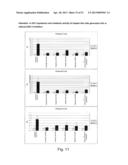 DIRECTED DIFFERENTIATION AND MATURATION OF PLURIPOTENT CELLS INTO     HEPATOCYTE LIKE CELLS BY MODULATION OF WNT-SIGNALLING PATHWAY diagram and image