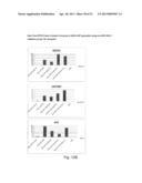 DIRECTED DIFFERENTIATION AND MATURATION OF PLURIPOTENT CELLS INTO     HEPATOCYTE LIKE CELLS BY MODULATION OF WNT-SIGNALLING PATHWAY diagram and image